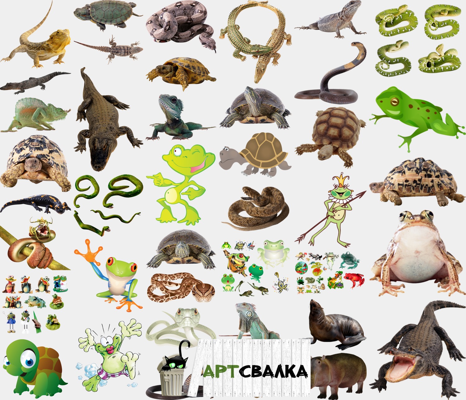 Змеи, ящерицы, черепашки, крокодилы, жабы и бегемот. | Snakes, lizards, turtles, crocodiles, frogs, and Behemoth.